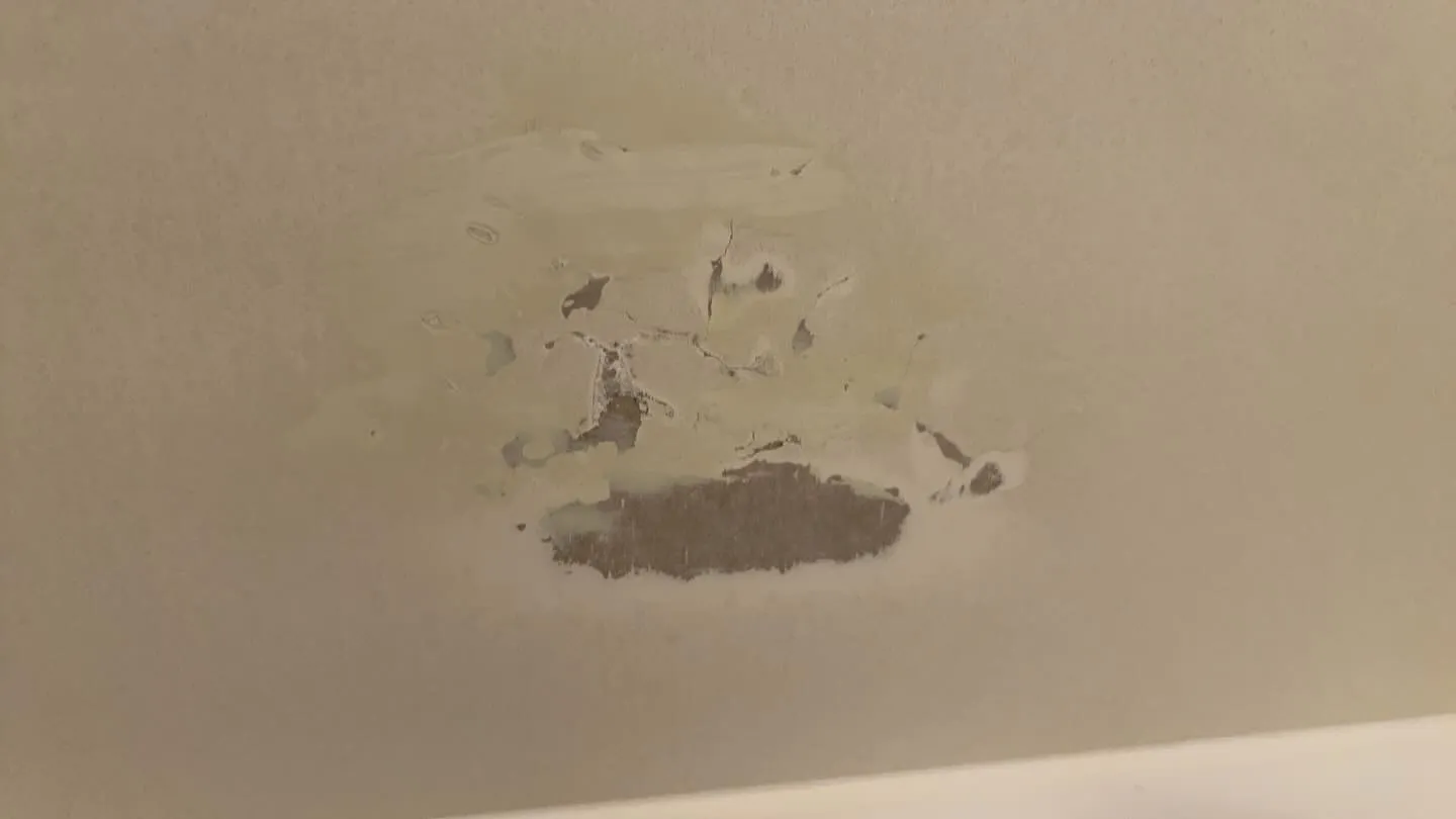 【施工事例】枚方市 一戸建て 浴室壁面リペア・コーティング